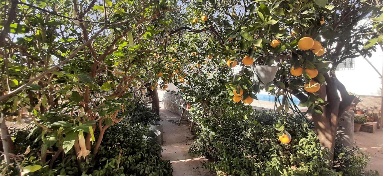 Cortijo Ferre, A Los Pies Del Castillo La Atalaya De Níjar Buitenkant foto