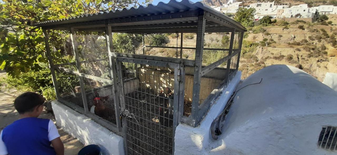 Cortijo Ferre, A Los Pies Del Castillo La Atalaya De Níjar Buitenkant foto